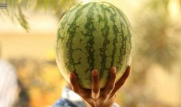 最近大瓜事件,揭秘明星隐私风波背后的真相